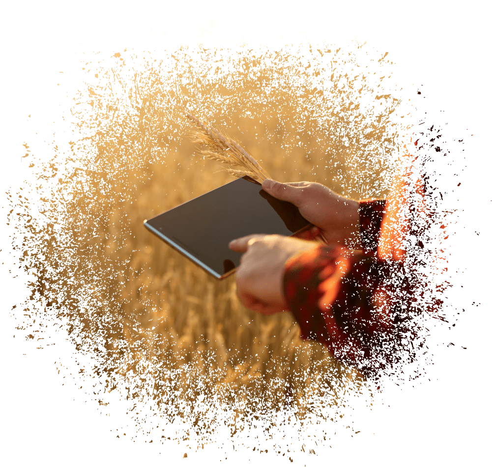Services Farmer in Field Using a Tablet