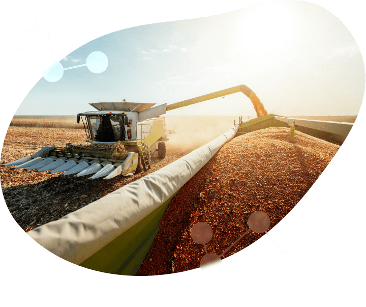 Better Soils Lead To Better Crops Grain Harvester with Corn Header Harvesting Corn