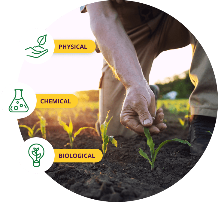 Physical Chemical Biological Words Physical Chemical Biological and Man Analyzing Green Plant in Field
